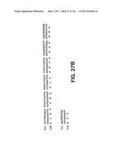 ANTIBODY FRAGMENT-POLYMER CONJUGATES AND USES OF SAME diagram and image