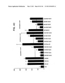 ANTIBODY FRAGMENT-POLYMER CONJUGATES AND USES OF SAME diagram and image