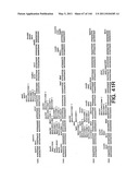 ANTIBODY FRAGMENT-POLYMER CONJUGATES AND USES OF SAME diagram and image