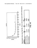 ANTIBODY FRAGMENT-POLYMER CONJUGATES AND USES OF SAME diagram and image