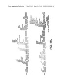 ANTIBODY FRAGMENT-POLYMER CONJUGATES AND USES OF SAME diagram and image