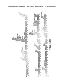 ANTIBODY FRAGMENT-POLYMER CONJUGATES AND USES OF SAME diagram and image