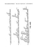 ANTIBODY FRAGMENT-POLYMER CONJUGATES AND USES OF SAME diagram and image