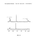 COMPOSITIONS OBTAINED FROM CHLORELLA EXTRACT HAVING IMMUNOMODULATING PROPERTIES diagram and image