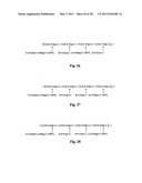 COMPOSITIONS OBTAINED FROM CHLORELLA EXTRACT HAVING IMMUNOMODULATING PROPERTIES diagram and image