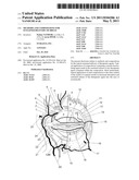 METHODS AND COMPOSITIONS FOR SUSTAINED DELIVERY OF DRUGS diagram and image