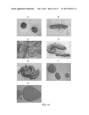 PROBIOTIC PET FOOD diagram and image