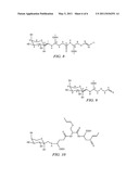 Natural Flavour Enhancers and Methods for Making Same diagram and image