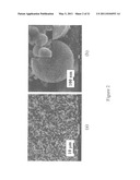 AUTOGENIC PRESSURE REACTIONS FOR BATTERY MATERIALS MANUFACTURE diagram and image