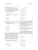 ELECTROPHOTOGRAPHIC PHOTOSENSITIVE MEMBER,PROCESS CARTRIDGE, AND ELECTROPHOTOGRAPHIC APPARATUS diagram and image