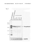 INSULIN RESISTANCE MARKER diagram and image