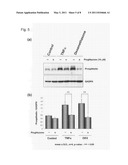 INSULIN RESISTANCE MARKER diagram and image