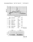 METHODS FOR IDENTIFYING NUCLEIC ACID LIGANDS diagram and image