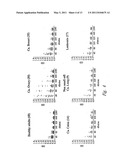 Methods and Compositions for Diagnosing Carcinomas diagram and image