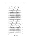 Methods and Compositions for Diagnosing Carcinomas diagram and image