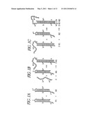 HYBRIDIZATION CHAIN REACTION AMPLIFICATION FOR IN SITU IMAGING diagram and image