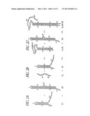 HYBRIDIZATION CHAIN REACTION AMPLIFICATION FOR IN SITU IMAGING diagram and image