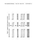 SELECTIVE RESTRICTION FRAGMENT AMPLIFICATION: FINGERPRINTING diagram and image