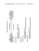 SELECTIVE RESTRICTION FRAGMENT AMPLIFICATION: FINGERPRINTING diagram and image