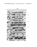 SELECTIVE RESTRICTION FRAGMENT AMPLIFICATION: FINGERPRINTING diagram and image