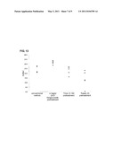 POROUS SOLID PHASE FOR BINDING ASSAY, AND BINDING ASSAY METHOD USING THE SAME diagram and image