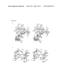 CONSTRUCTION OF EXPRESSION SYSTEM FOR RNA POLYMERASE DERIVED FROM INFLUENZA VIRUS, CRYSTALLIZATION OF THE RNA POLYMERASE, AND SCREENING METHOD FOR ANTI-INFLUENZA AGENT diagram and image