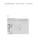 CONSTRUCTION OF EXPRESSION SYSTEM FOR RNA POLYMERASE DERIVED FROM INFLUENZA VIRUS, CRYSTALLIZATION OF THE RNA POLYMERASE, AND SCREENING METHOD FOR ANTI-INFLUENZA AGENT diagram and image