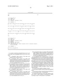 CONSTRUCTION OF EXPRESSION SYSTEM FOR RNA POLYMERASE DERIVED FROM INFLUENZA VIRUS, CRYSTALLIZATION OF THE RNA POLYMERASE, AND SCREENING METHOD FOR ANTI-INFLUENZA AGENT diagram and image