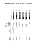 PRODUCTS AND PROCESSES FOR MODULATING PEPTIDE-PEPTIDE BINDING DOMAIN INTERACTIONS diagram and image