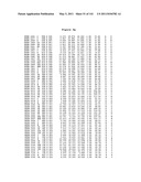 CRYSTAL STRUCTURE OF AURORA-2 PROTEIN AND BINDING POCKETS THEREOF diagram and image