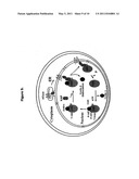 METHODS AND COMPOSITIONS FOR CELL-CYCLE REGULATION diagram and image