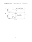 HEPARAN SULFATE GLYCOSAMINOGLYCAN LYASE AND USES THEREOF diagram and image