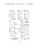 CARBAMYLATED PROTEINS AND RISK OF CARDIOVASCULAR DISEASE diagram and image