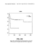 Diagnostic Methods For Determining Prognosis Of Non-Small Cell Lung Cancer diagram and image