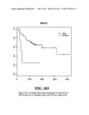 Diagnostic Methods For Determining Prognosis Of Non-Small Cell Lung Cancer diagram and image