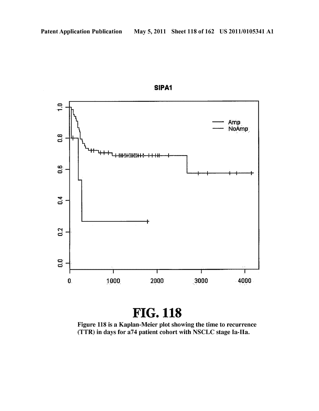 Diagnostic Methods For Determining Prognosis Of Non-Small Cell Lung Cancer - diagram, schematic, and image 119