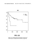 Diagnostic Methods For Determining Prognosis Of Non-Small Cell Lung Cancer diagram and image