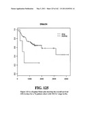 Diagnostic Methods For Determining Prognosis Of Non-Small Cell Lung Cancer diagram and image