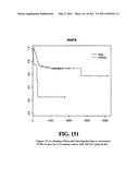 Diagnostic Methods For Determining Prognosis Of Non-Small Cell Lung Cancer diagram and image