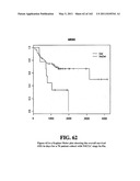 Diagnostic Methods For Determining Prognosis Of Non-Small Cell Lung Cancer diagram and image