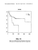 Diagnostic Methods For Determining Prognosis Of Non-Small Cell Lung Cancer diagram and image