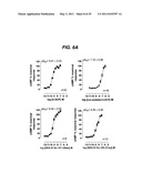 METHOD FOR TREATING HEART FAILURE WITH STRESSCOPIN-LIKE PEPTIDES diagram and image