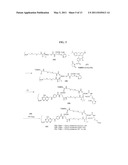 POLYMERIC SYSTEMS CONTAINING INTRACELLULAR RELEASABLE DISULFIDE LINKER FOR THE DELIVERY OF OLIGONUCLEOTIDES diagram and image