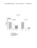 POLYMERIC SYSTEMS CONTAINING INTRACELLULAR RELEASABLE DISULFIDE LINKER FOR THE DELIVERY OF OLIGONUCLEOTIDES diagram and image