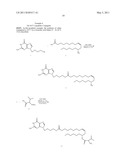 Drug Conjugates diagram and image