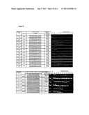 RTP80IL SIRNA COMPOUNDS AND METHODS OF USE THEREOF diagram and image