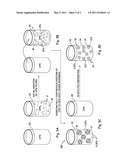 POLYMER-ENCAPSULATED NANOPARTICLES diagram and image