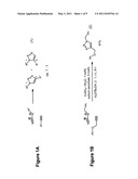 Copper-catalysed ligation of azides and acetylenes diagram and image