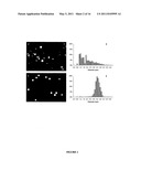 UNIFORM-SIZED, MULTI-DRUG CARRYING, AND PHOTOSENSITIVE LIPOSOMES FOR ADVANCED DRUG DELIVERY diagram and image