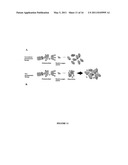 UNIFORM-SIZED, MULTI-DRUG CARRYING, AND PHOTOSENSITIVE LIPOSOMES FOR ADVANCED DRUG DELIVERY diagram and image
